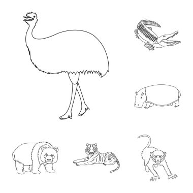 Farklı hayvanlar set koleksiyonu tasarım için simgeleri anahat. Kuş, predator ve otobur sembol stok web illüstrasyon vektör.