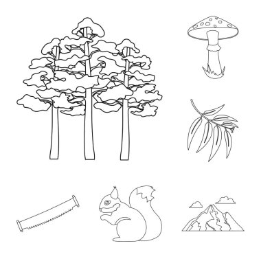 Set koleksiyonu tasarım için orman ve doğa anahat simgeleri. Orman hayat vektör simge stok web çizim.