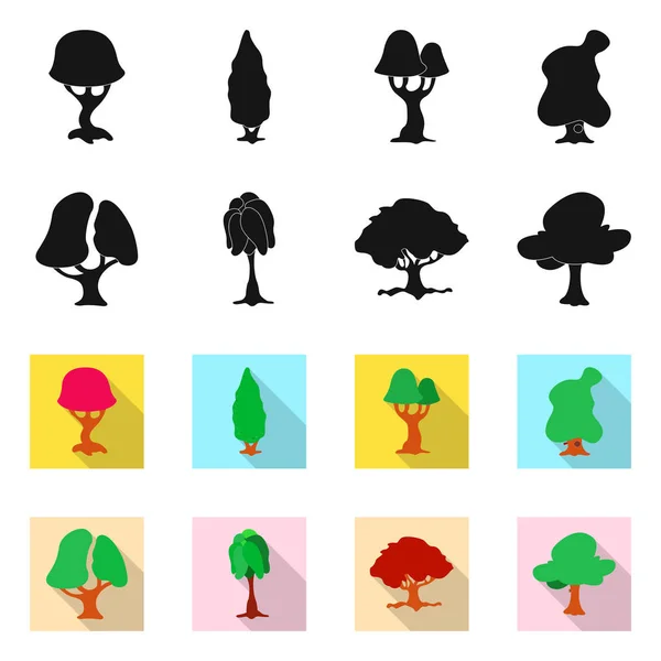 Ilustração vetorial de árvore e ícone da natureza. Coleção de árvore e coroa vetor ícone para estoque . — Vetor de Stock