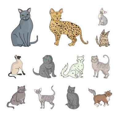 Doğurmak-in cats set koleksiyonu tasarım için simgeleri karikatür. Evde beslenen hayvan kedi vektör simge stok web çizim.