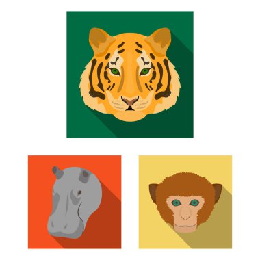 Set koleksiyonu tasarım için vahşi hayvan düz simgeler. Mammal ve kuş sembol stok web illüstrasyon vektör.