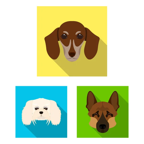 Psí plemena ploché ikony v nastavení kolekce pro design. Čenich psa vektorové symbol akcií web ilustrace. — Stockový vektor