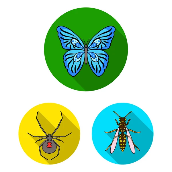 Different kinds of insects flat icons in set collection for design. Insect arthropod vector symbol stock web illustration. — Stock Vector