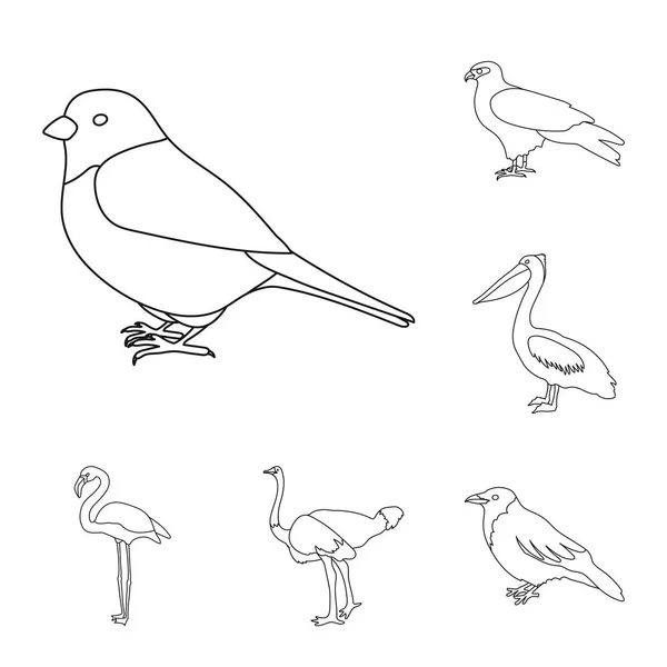 Arten von Vögeln umreißen Symbole in Set-Kollektion für Design. Haus und Wildvogel Vektor Symbol Stock Web Illustration. — Stockvektor