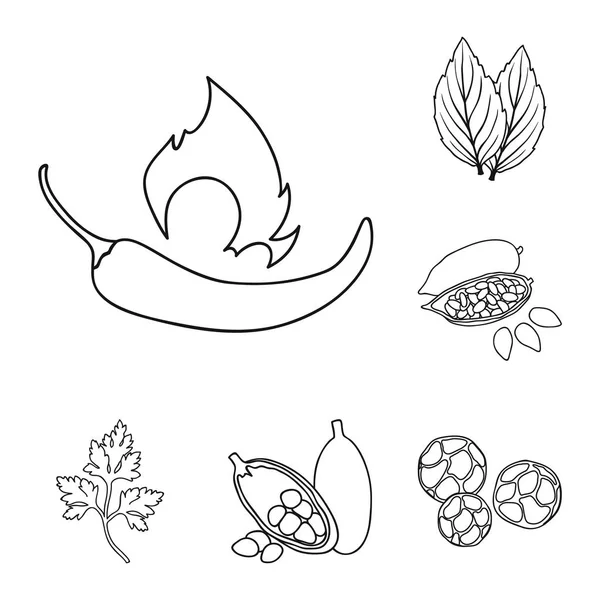Ícones de contorno de ervas e especiarias na coleção de conjuntos para design.Diferentes tipos de temperos símbolo vetorial ilustração web . —  Vetores de Stock