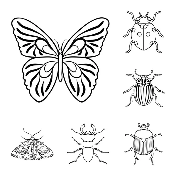 Different Kinds Insects Outline Icons Set Collection Design Insect Arthropod — Stock Vector