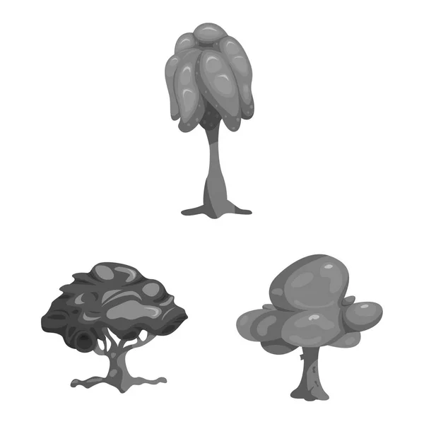 Oggetto isolato di albero e icona della natura. Set di icone vettoriali albero e corona per magazzino . — Vettoriale Stock