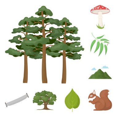 Set koleksiyonu tasarım için orman ve doğa karikatür simgeler. Orman hayat vektör simge stok web çizim.