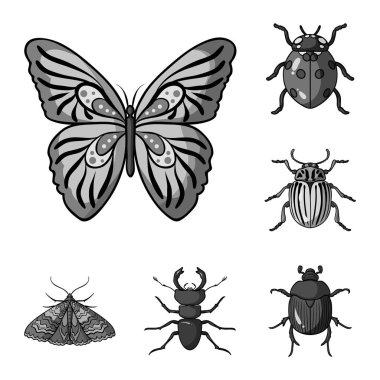 Böcekler tek renkli simgeler set koleksiyonu tasarım için farklı türde. Böcek Eklem bacaklılar vektör simge stok web çizimi.