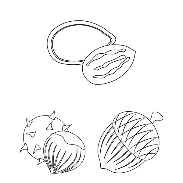 다른 종류의 견과류 개요 디자인에 대 한 설정된 컬렉션에 아이콘. 너트 식품 벡터 기호 재고 웹 일러스트 레이 션. — 스톡 벡터