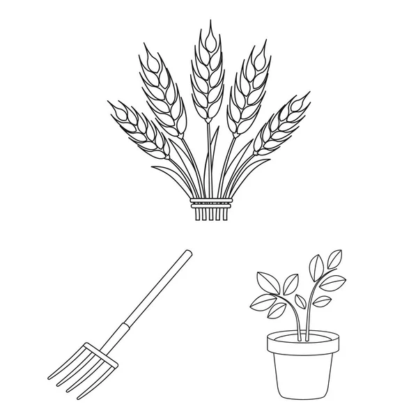 Bauernhof Und Garten Umreißen Symbole Set Kollektion Für Design Landwirtschafts — Stockvektor