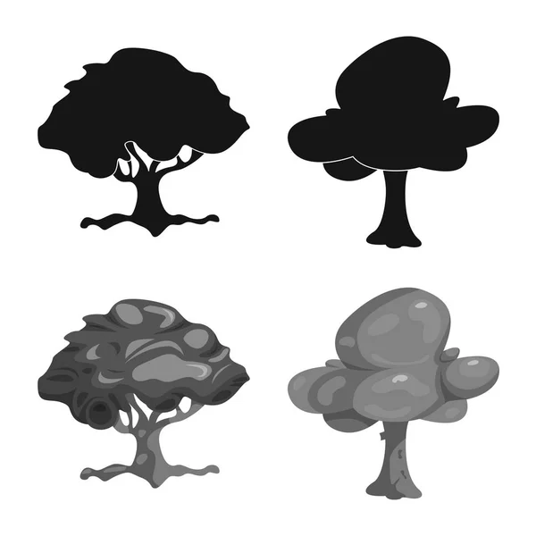 Vektorillustration av träd och naturen logotyp. Samling av träd och krona aktiesymbol för webben. — Stock vektor