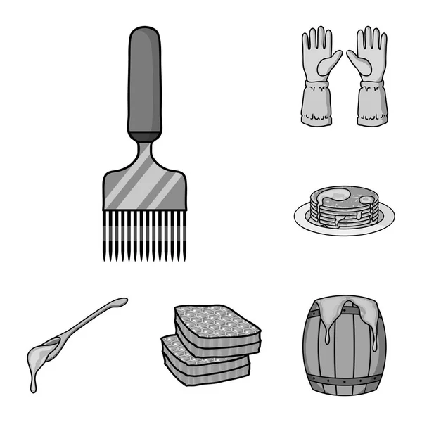 Icônes apicoles et apicoles monochromes dans la collection de set pour le design.Equipment et production de miel vecteur symbole illustration web stock . — Image vectorielle