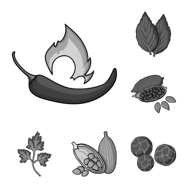 Ícones monocromáticos de ervas e especiarias na coleção de conjuntos para design.Different tipos de seasonings símbolo vetorial web ilustração . —  Vetores de Stock