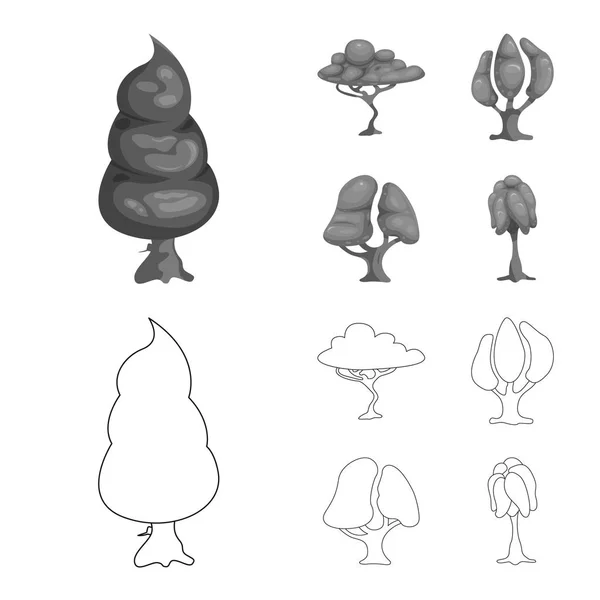 Vektorillustration av träd och naturen logotyp. Uppsättning av trädet och crown lager vektorillustration. — Stock vektor