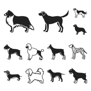 Köpek ırkları set koleksiyonu tasarım için simgeler siyah. Köpek evde beslenen hayvan vektör simge stok web çizim.
