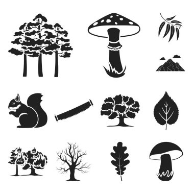 Set koleksiyonu tasarım için simgeler siyah orman ve doğa. Orman hayat vektör simge stok web çizim.
