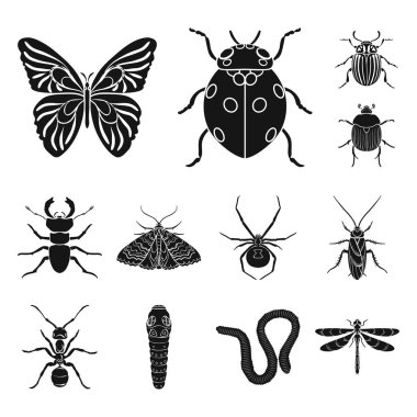 Çeşitli böcekler set koleksiyonu tasarım için simgeler siyah. Böcek Eklem bacaklılar vektör simge stok web çizimi.