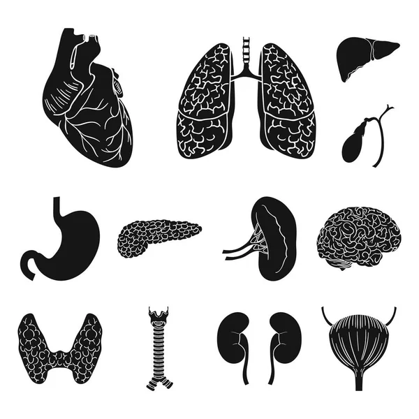 Órgãos humanos ícones pretos na coleção de conjuntos para design. Anatomia e órgãos internos símbolo vetorial web ilustração . — Vetor de Stock