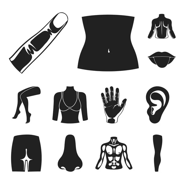 Parte del corpo, arti icone nere nella collezione set per il design. Anatomia umana vettoriale simbolo stock web illustrazione . — Vettoriale Stock
