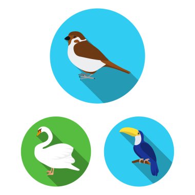 Kuş türleri set koleksiyonu tasarım için simgeleri düz. Ev ve vahşi kuş vektör simge stok web çizim.