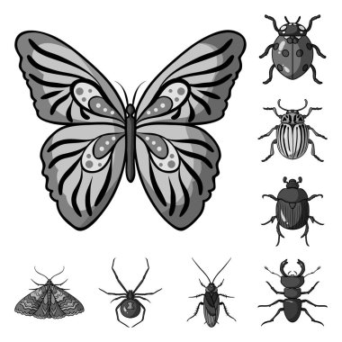 Böcekler tek renkli simgeler set koleksiyonu tasarım için farklı türde. Böcek Eklem bacaklılar vektör simge stok web çizimi.