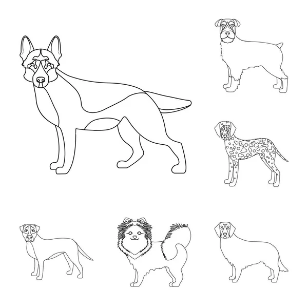 Dog breeds outline icons in set collection for design.Dog pet vector symbol stock web illustration. — Stock Vector