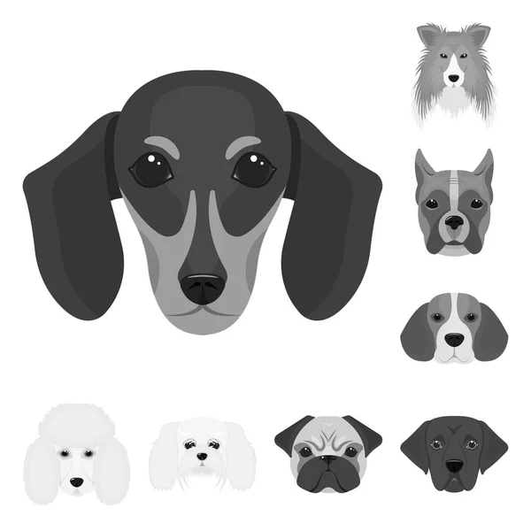 El perro reproduce iconos monocromáticos en la colección de conjuntos para el diseño.Hocico de un perro vector símbolo stock web ilustración . — Vector de stock