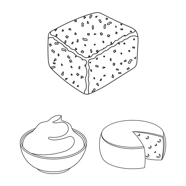 Diferentes tipos de iconos de contorno de queso en la colección de conjuntos para design.Milk producto queso vector símbolo stock web ilustración . — Vector de stock