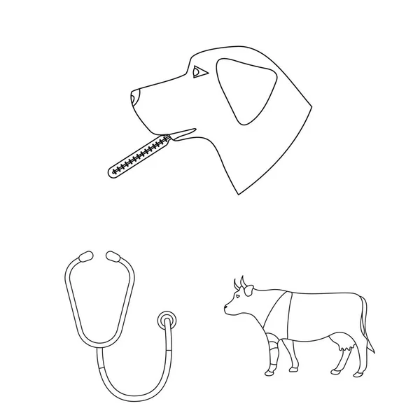 Les icônes de contour de clinique vétérinaire dans la collection définie pour la conception. Traitement d'un animal de compagnie vecteur symbole stock web illustration . — Image vectorielle