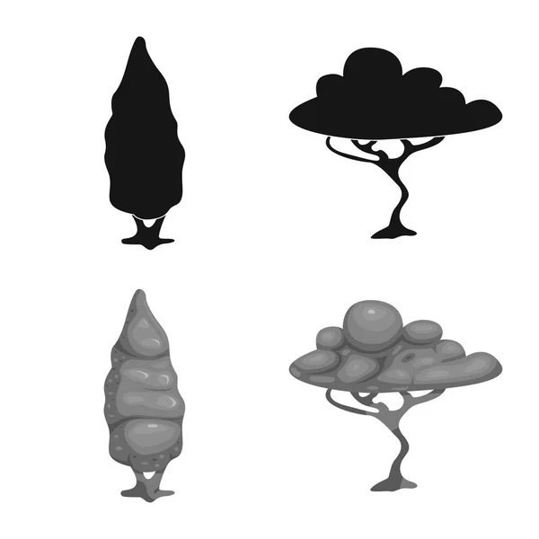 Illustrazione vettoriale dell'icona dell'albero e della natura. Set di albero e corona stock simbolo per web . — Vettoriale Stock