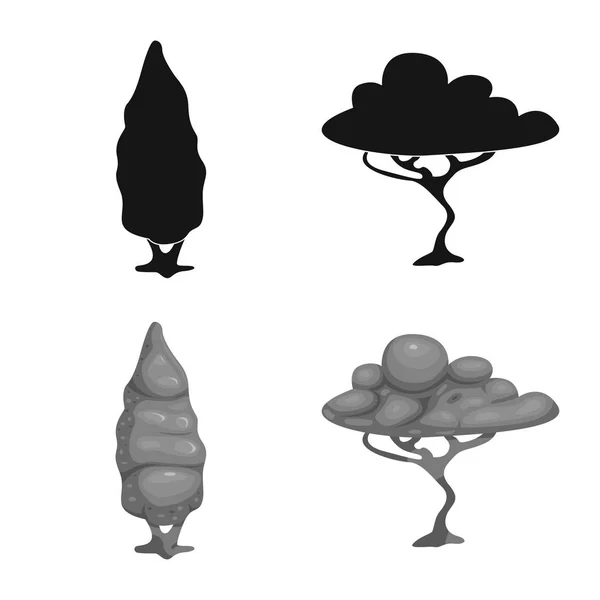나무와 자연 아이콘 벡터 일러스트입니다. 웹에 대 한 나무와 크라운 주식 기호 집합. — 스톡 벡터