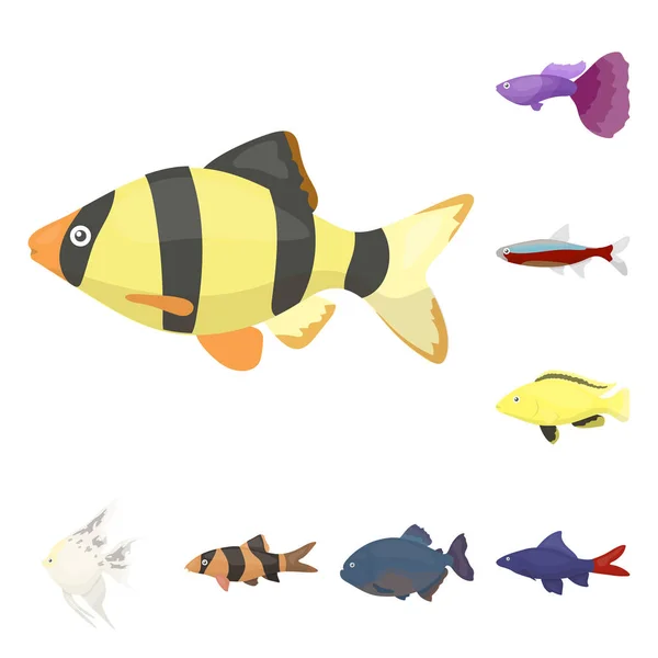 Différents types d'icônes de dessin animé de poissons dans la collection de jeu pour la conception. Illustration de la toile du symbole vectoriel poisson marin et aquarium . — Image vectorielle