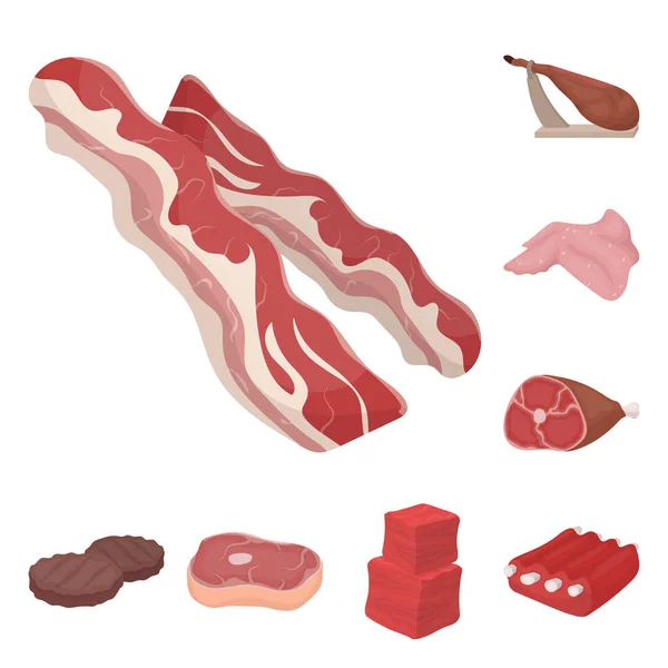 Différentes icônes de dessin animé de viande dans la collection de jeu pour la conception. Viande produit vecteur symbole stock web illustration . — Image vectorielle