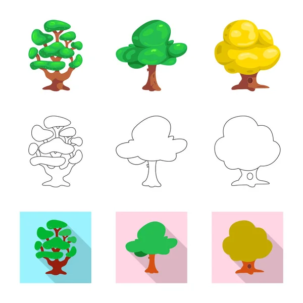 Objeto isolado de árvore e símbolo da natureza. Conjunto de árvore e coroa estoque vetor ilustração . — Vetor de Stock