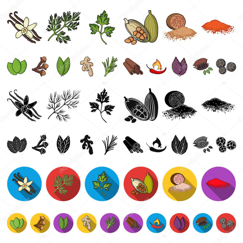 Herb and spices cartoon icons in set collection for design.Different kinds of seasonings vector symbol stock  illustration.