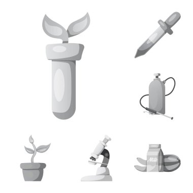 Vektör çizim ve kutsal kişilerin resmi. Ve hisse senedi için vektör simge kümesi.