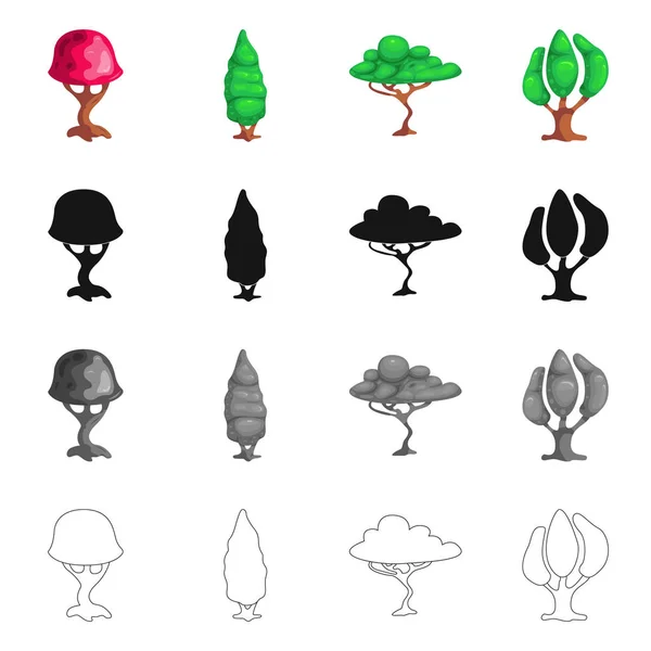 Objeto isolado de árvore e símbolo da natureza. Conjunto de árvore e coroa símbolo de estoque para web . — Vetor de Stock