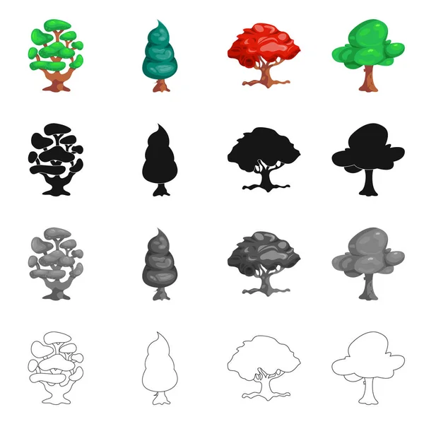 Objeto isolado de árvore e ícone da natureza. Coleção de árvore e coroa ilustração vetor estoque . — Vetor de Stock