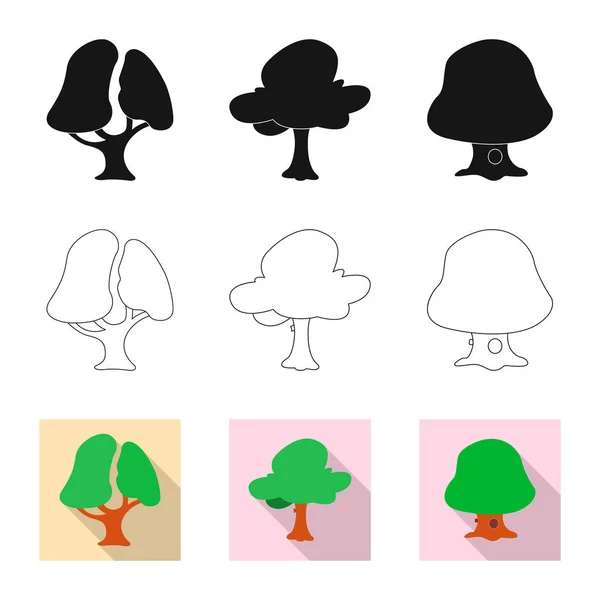 Vektorillustration av träd och naturen symbol. Samling av träd och krona vektor ikonen för lager. — Stock vektor