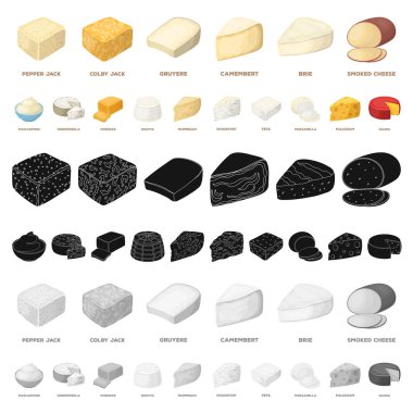 Farklı tür bir peynir karikatür simgeleri design.Milk ürün peynir vektör simge stok web çizim için küme toplama.
