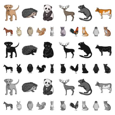 Gerçekçi hayvanları kutsal kişilerin resmi içinde set koleksiyonu tasarım için karikatür. Yerli ve vahşi hayvanlar sembol stok web illüstrasyon vektör.