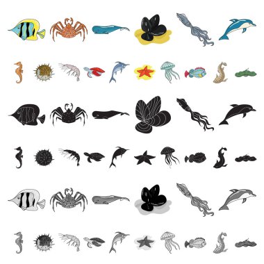 Deniz hayvanları çeşitli karikatür set koleksiyonu tasarım için simgeler. Balık ve kabuklu deniz ürünleri sembol stok web illüstrasyon vektör.