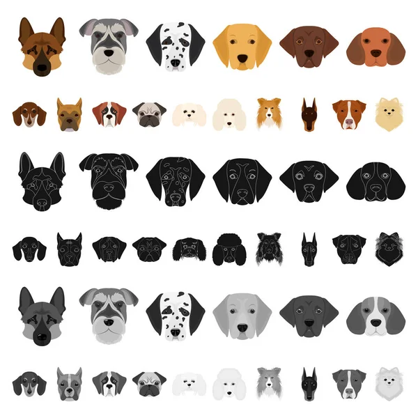 Cão raças desenhos animados ícones na coleção de conjuntos para design.Muzzle de um cão símbolo vetorial ilustração web estoque . — Vetor de Stock