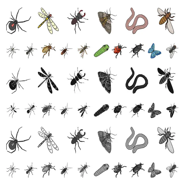 Different kinds of insects cartoon icons in set collection for design. Insect arthropod vector isometric symbol stock web illustration. — Stock Vector