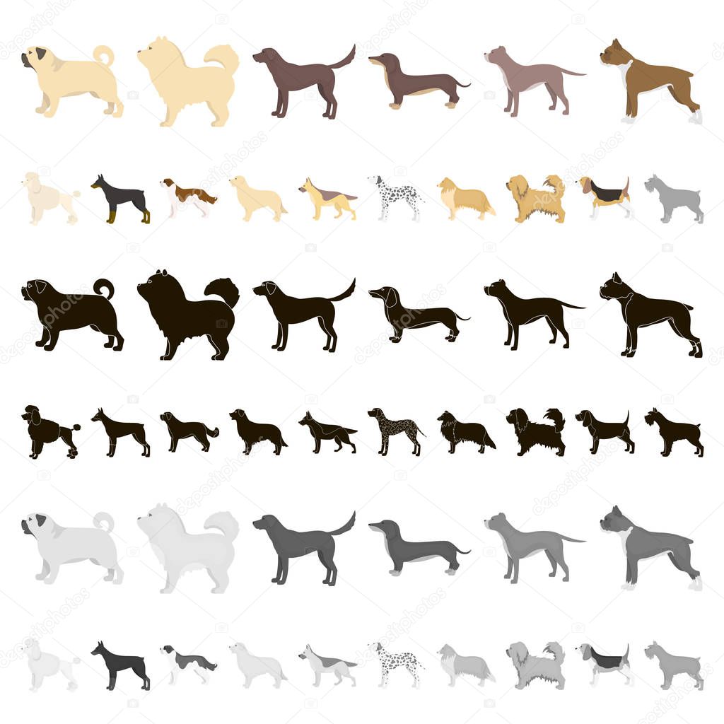Dog breeds cartoon icons in set collection for design.Dog pet vector symbol stock  illustration.