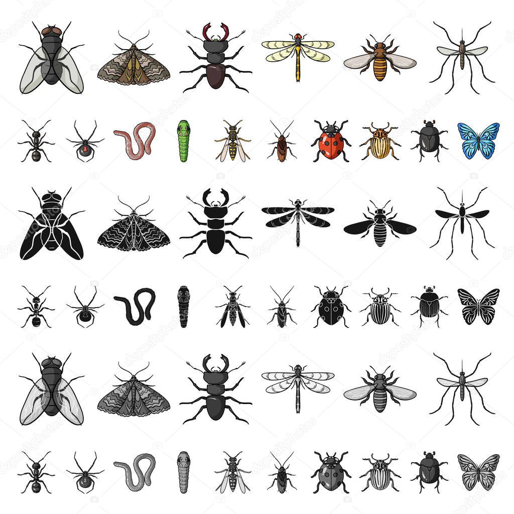Different kinds of insects cartoon icons in set collection for design. Insect arthropod vector symbol stock  illustration.