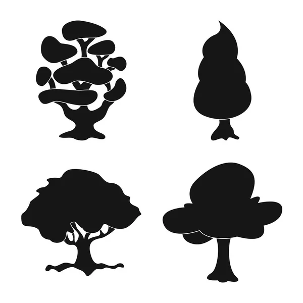 Ilustración vectorial de árbol y símbolo de la naturaleza. Colección de árbol y corona símbolo de stock para la web . — Archivo Imágenes Vectoriales