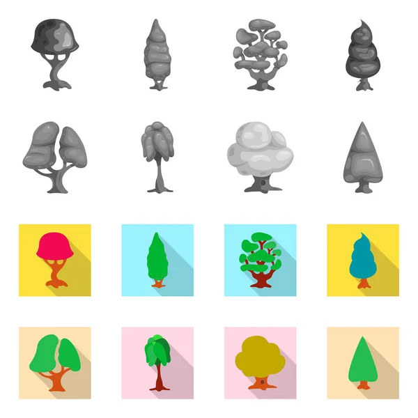 Objeto isolado de árvore e sinal de natureza. Coleção de árvore e coroa ilustração vetor estoque . — Vetor de Stock