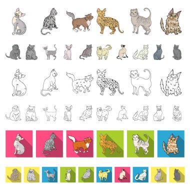 Doğurmak-in cats set koleksiyonu tasarım için simgeleri karikatür. Evde beslenen hayvan kedi vektör simge stok web çizim.